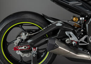 Carbon Arm Protections (Pair) for Triumph Lightech